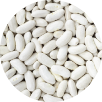 gallery/alubia beans-02