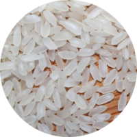 gallery/medium grain rice-02