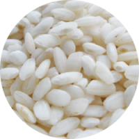 gallery/round grain rice-02