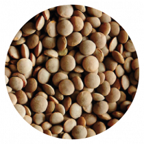 gallery/lentils-10